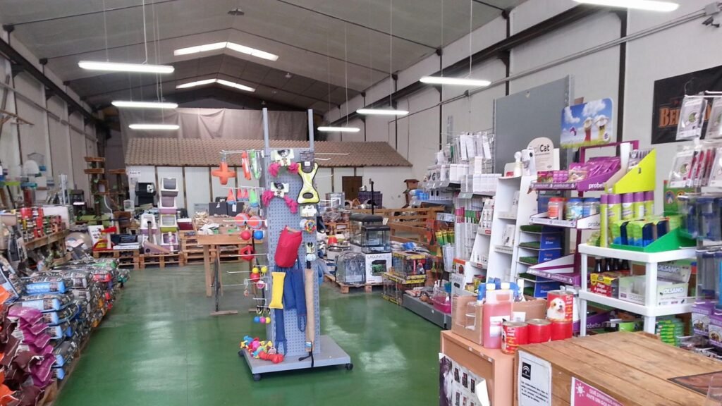 guardería canina web mascotas