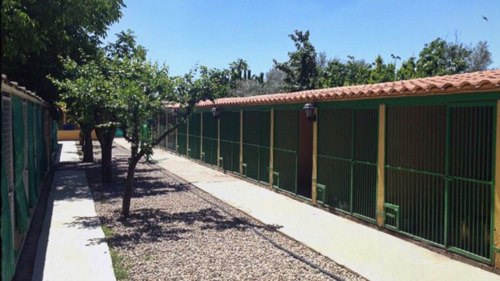 residencia canina dog house