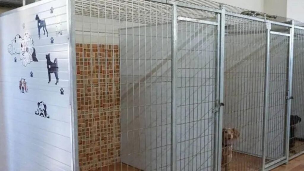 guardería canina mi mascota