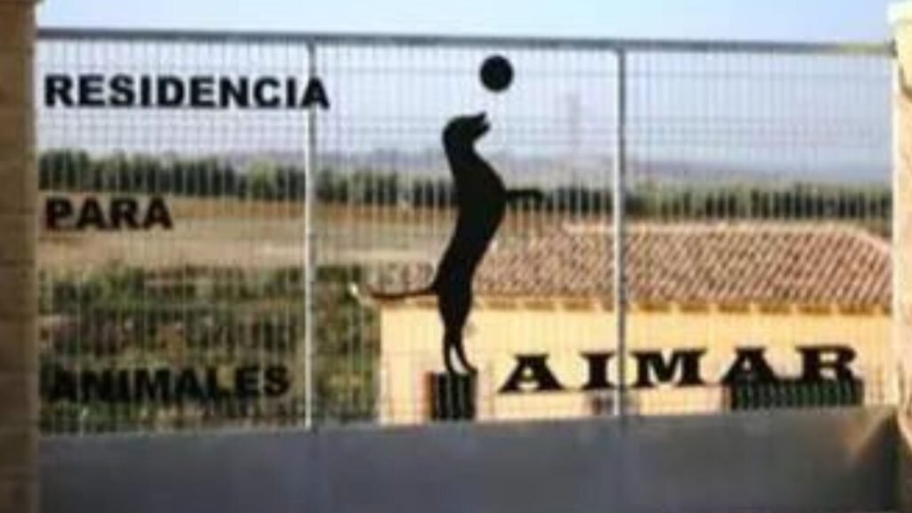 residencia canina aimar