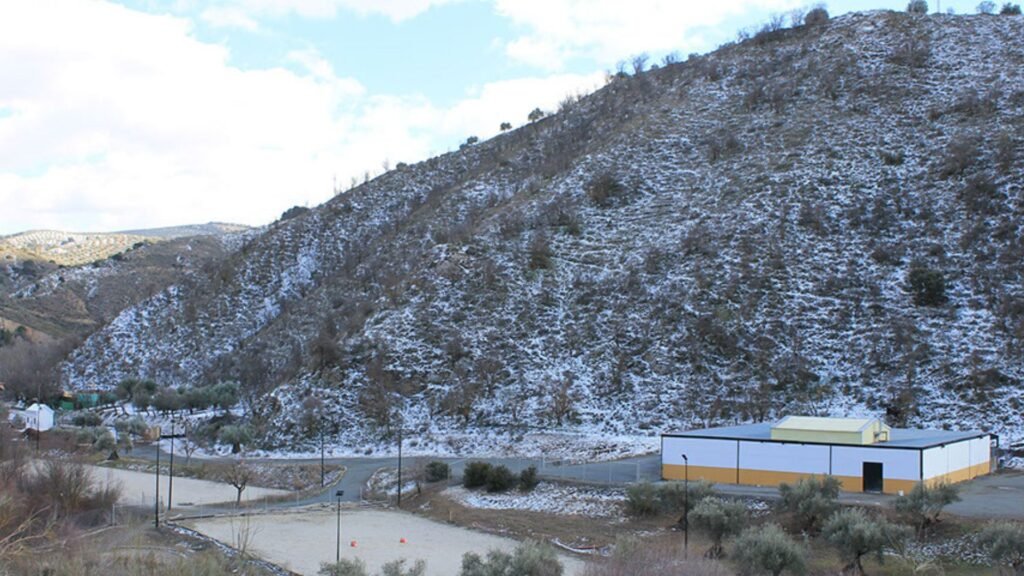 centro canino dogisticat