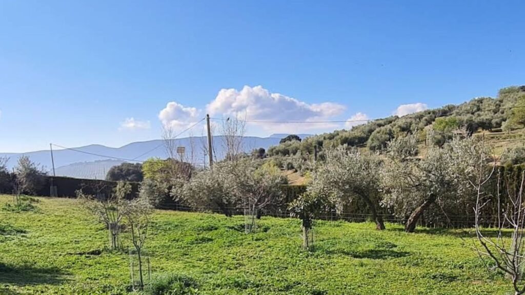 residencia canina manzacan