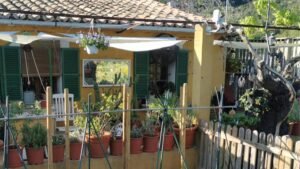 guardería canina keep can mallorca