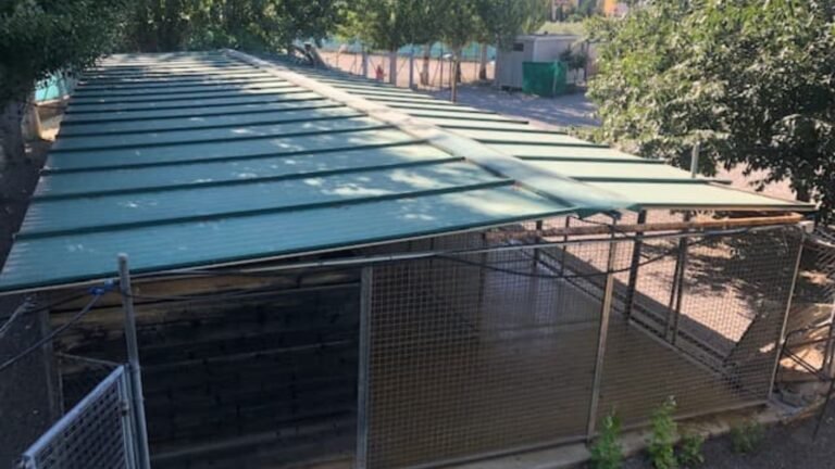 Residencia Canina Granacan – residencia canina en Granada