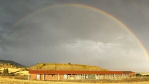 residencia canina luna mon
