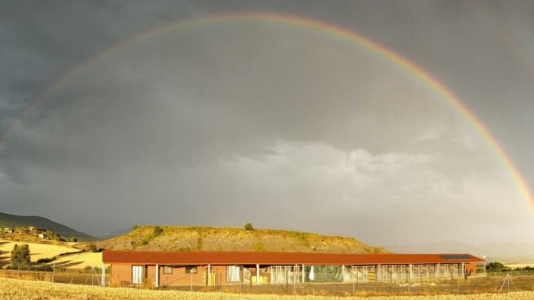 residencia canina luna mon