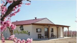 residencia canina huellas