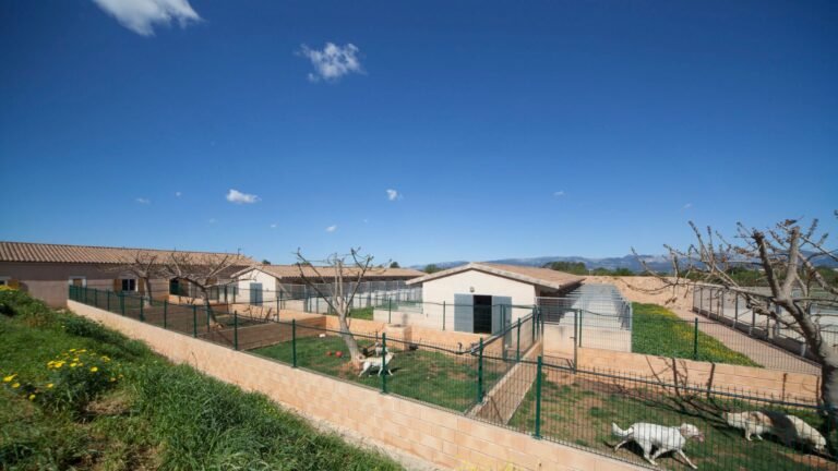 Residencia Canina Son Batlet – residencia canina en Baleares
