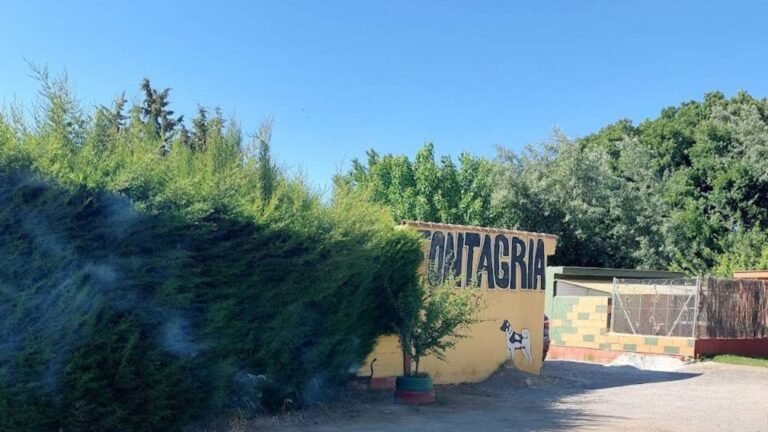 Centro Canino Fontagria – residencia canina en Granada