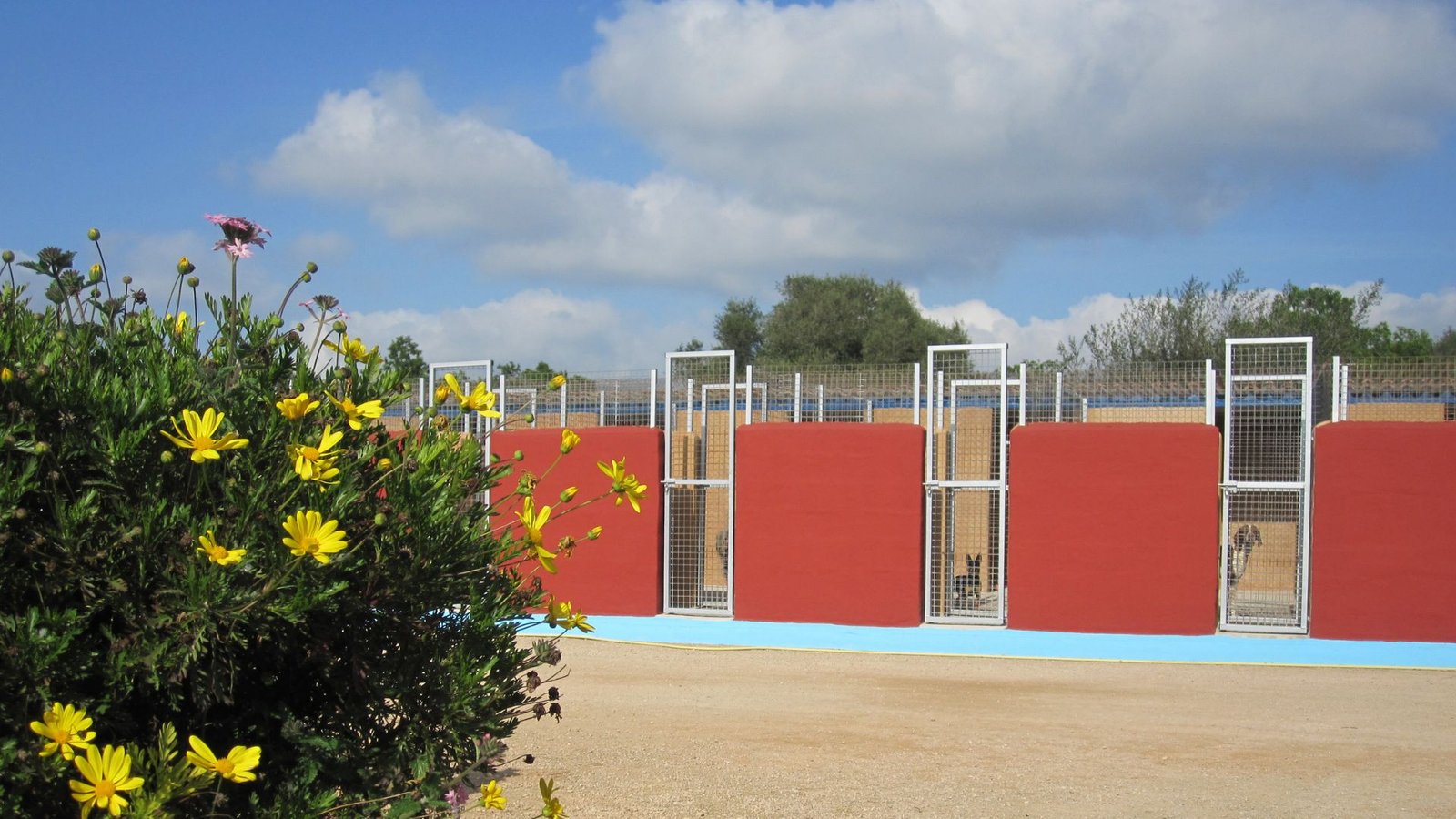 residencia canina von falkenau