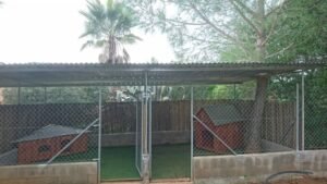 residencia canina gabis hunde wiese