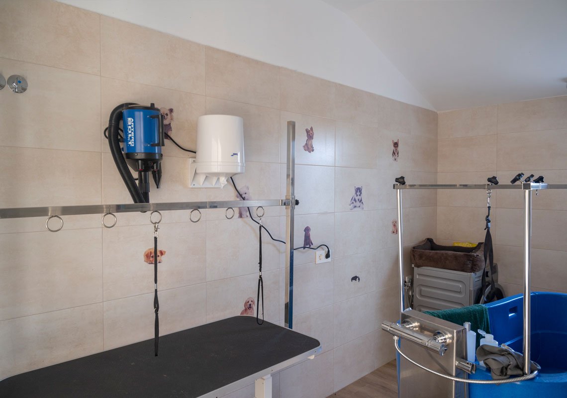 residencia canina kangurea