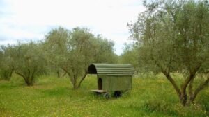 residencia canina rund um hunde