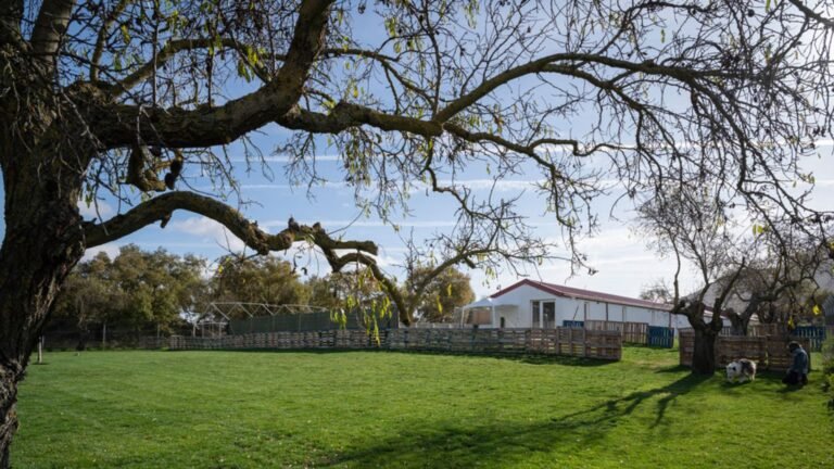 Residencia Canina Kan-gurea – residencia canina en Navarra