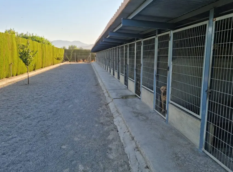 residencia canina sagasta