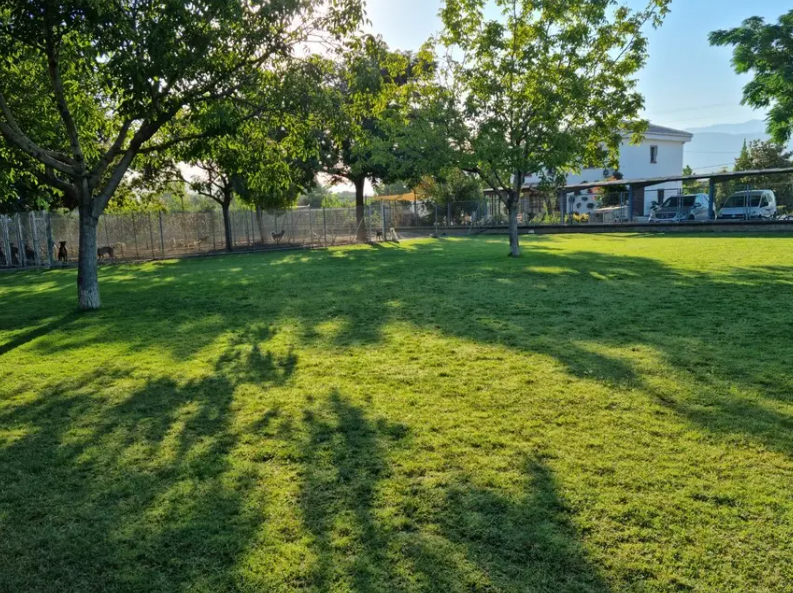 residencia canina sagasta