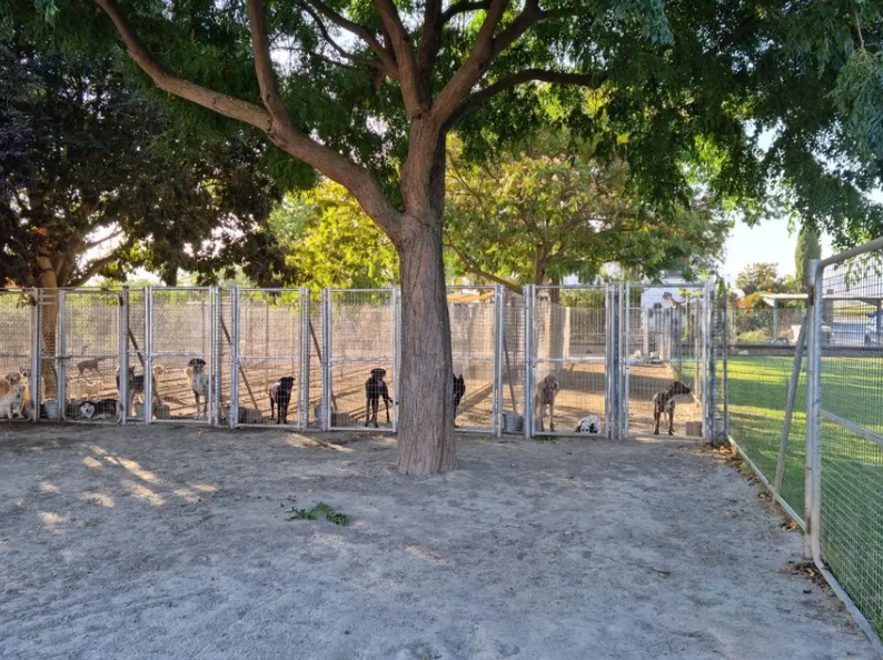 residencia canina sagasta