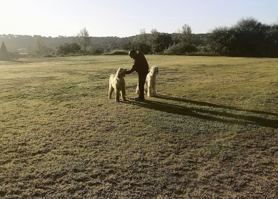 residencia canina la dehesa