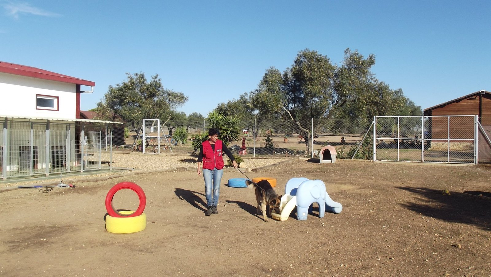 residencia canina villa can