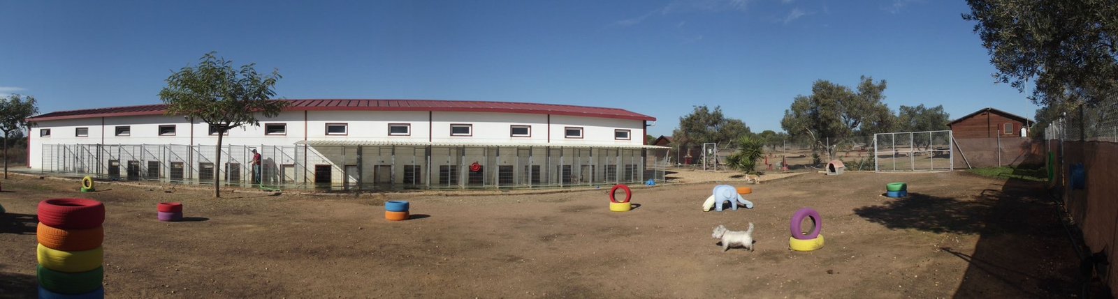 residencia canina villa can