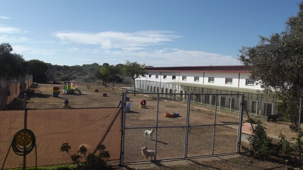 residencia canina villa can