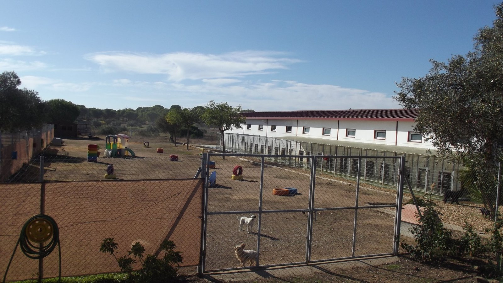residencia canina villa can