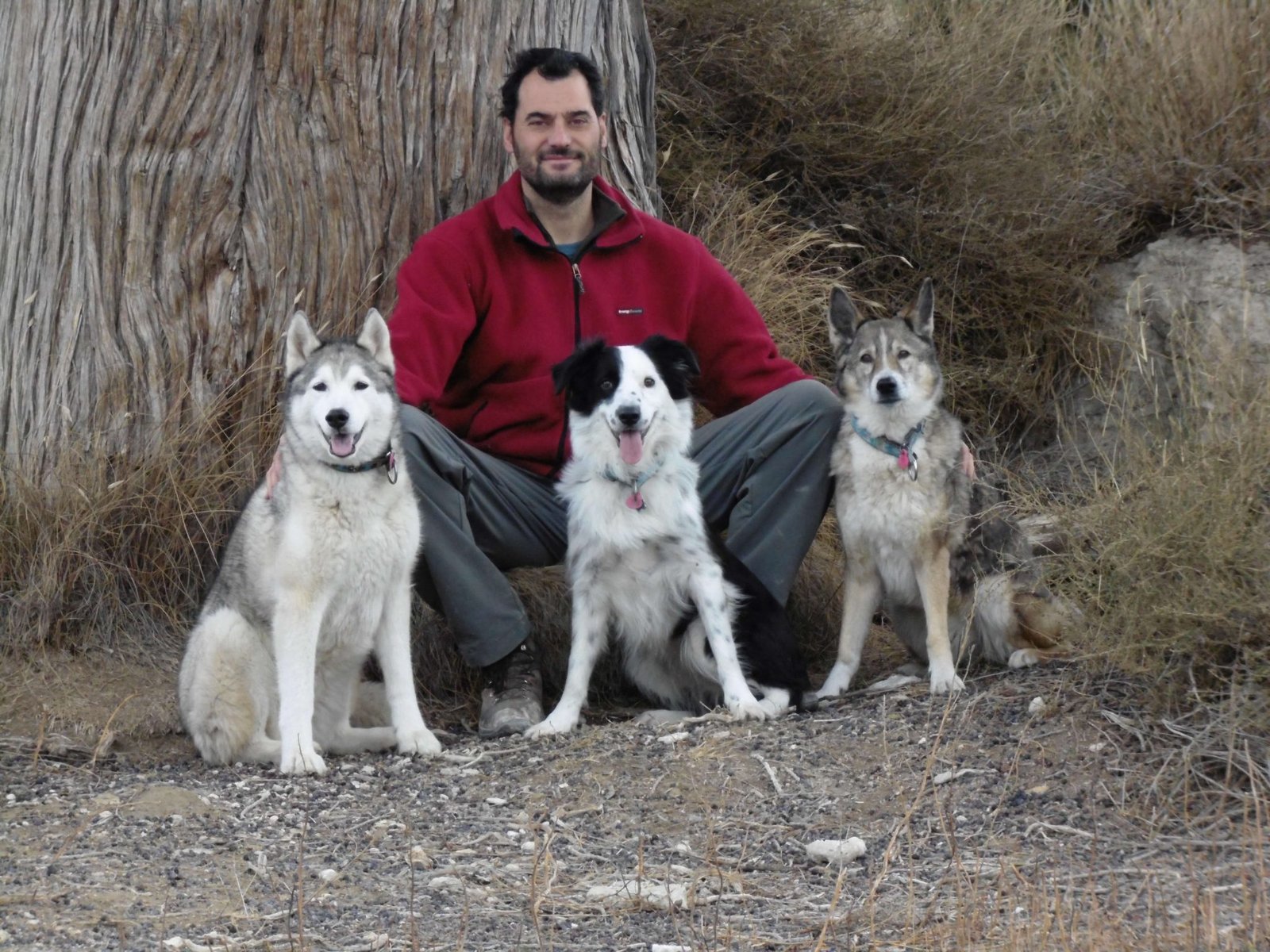 residencia canina luna mon