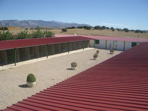 residencia canina los rosales