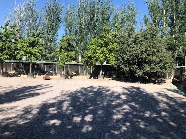 residencia canina granacan