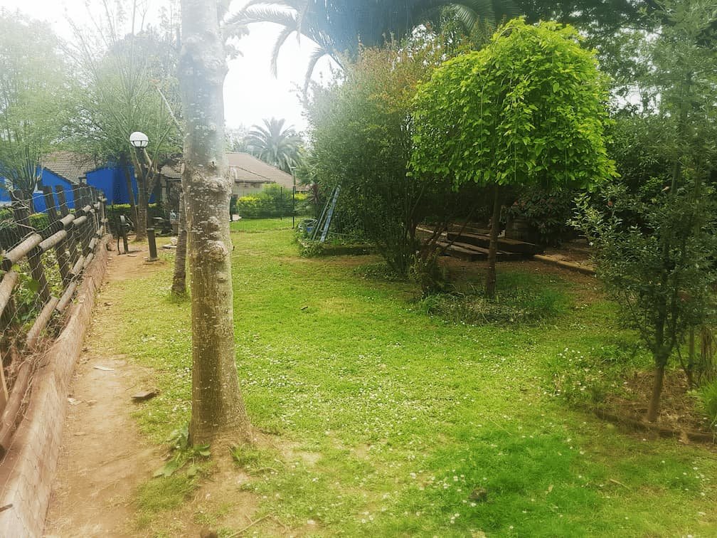 residencia canina txakur txoko