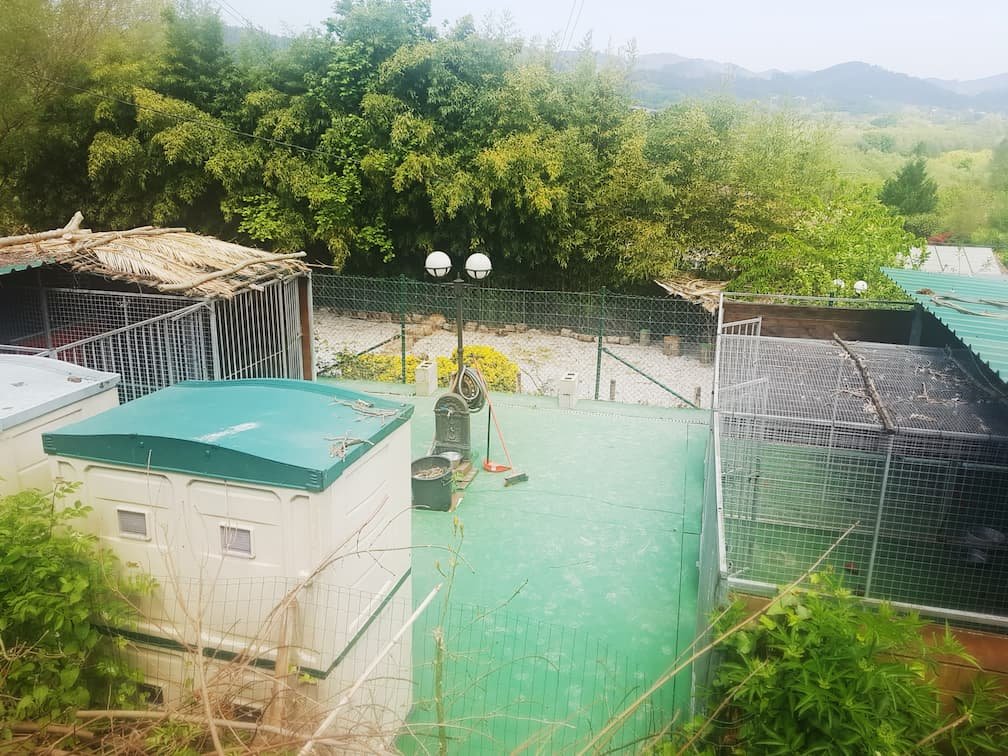 residencia canina txakur txoko