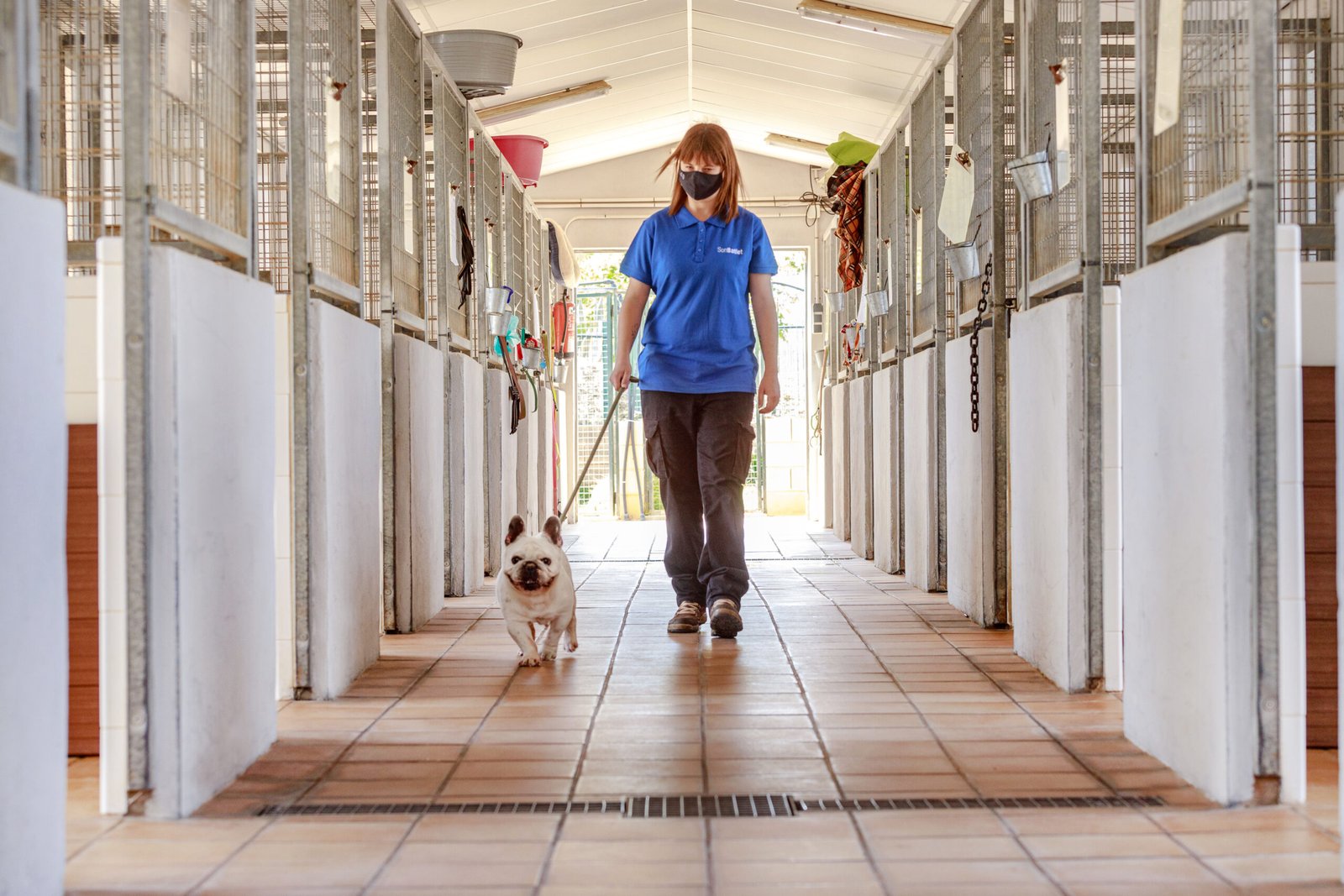 residencia canina son batlet