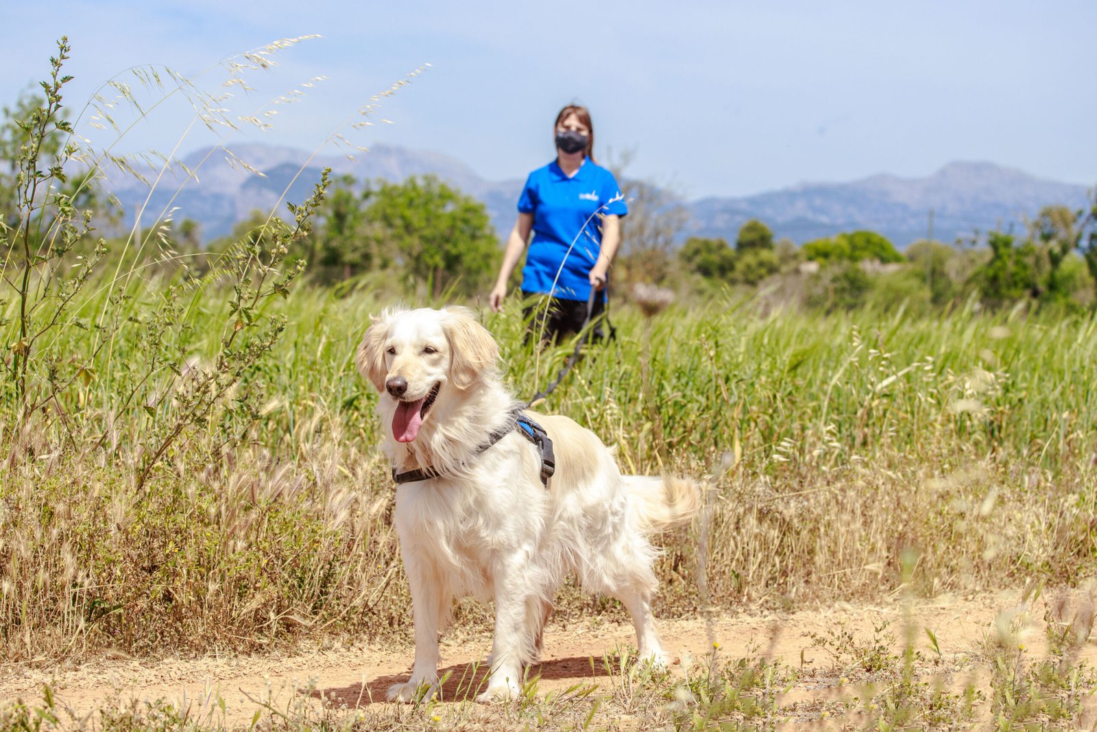 residencia canina son batlet