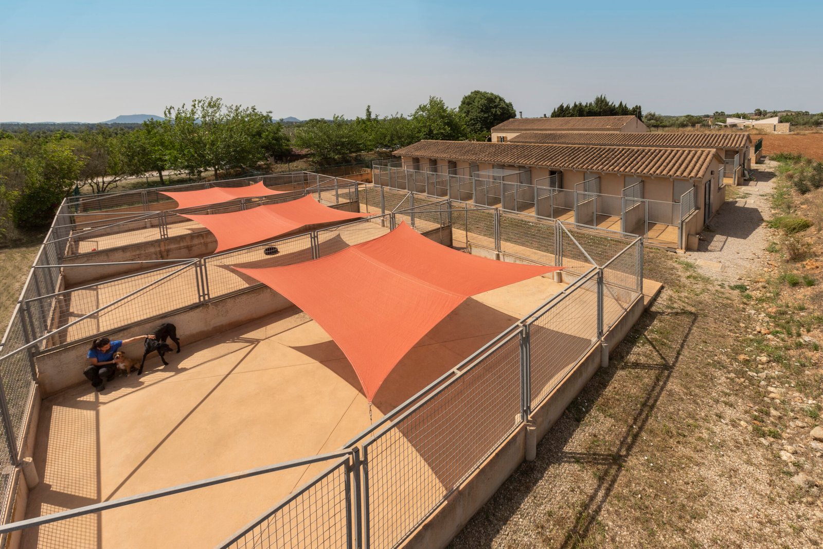 residencia canina son batlet
