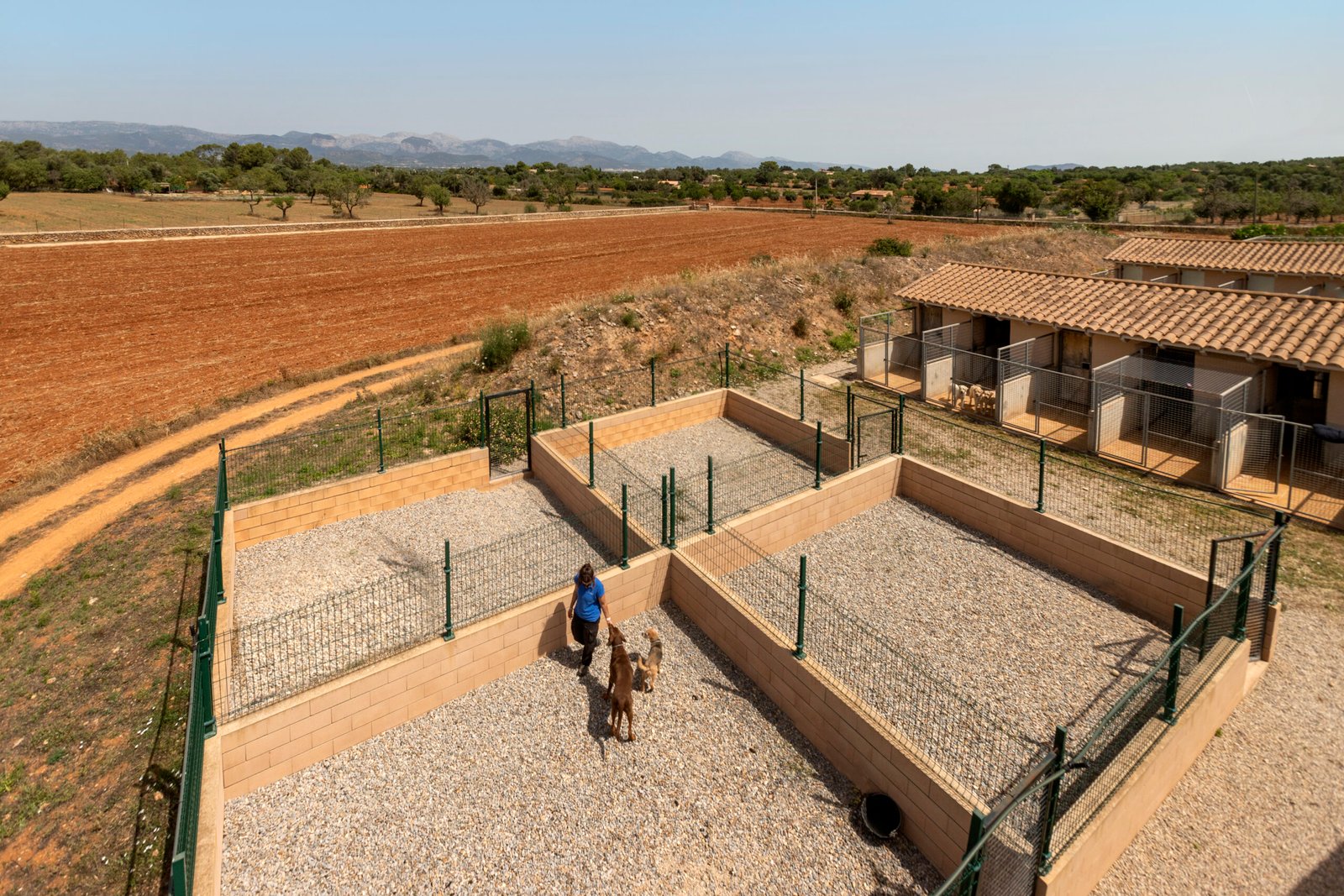 residencia canina son batlet