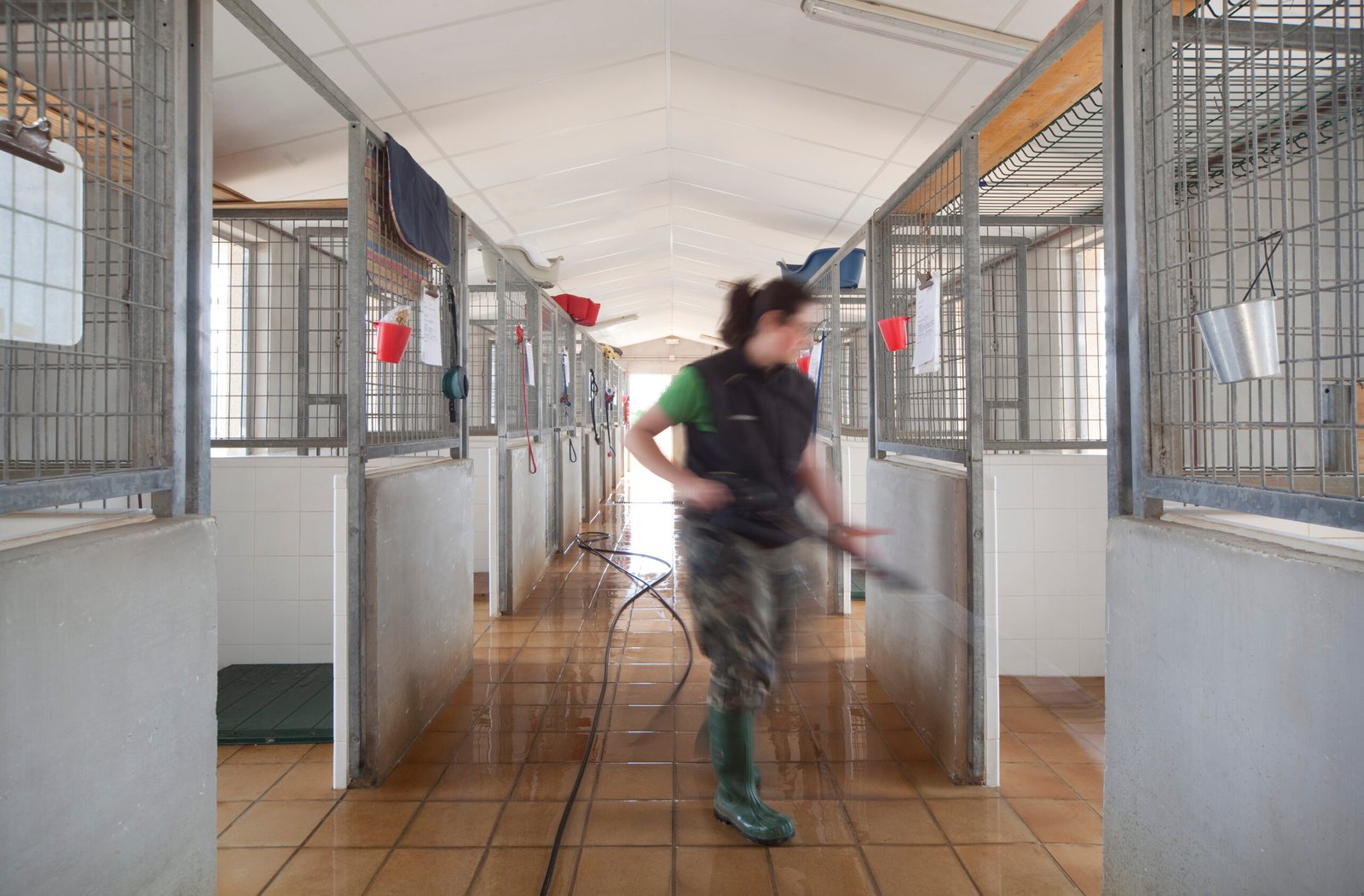 residencia canina son batlet