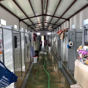 residencia canina villa can