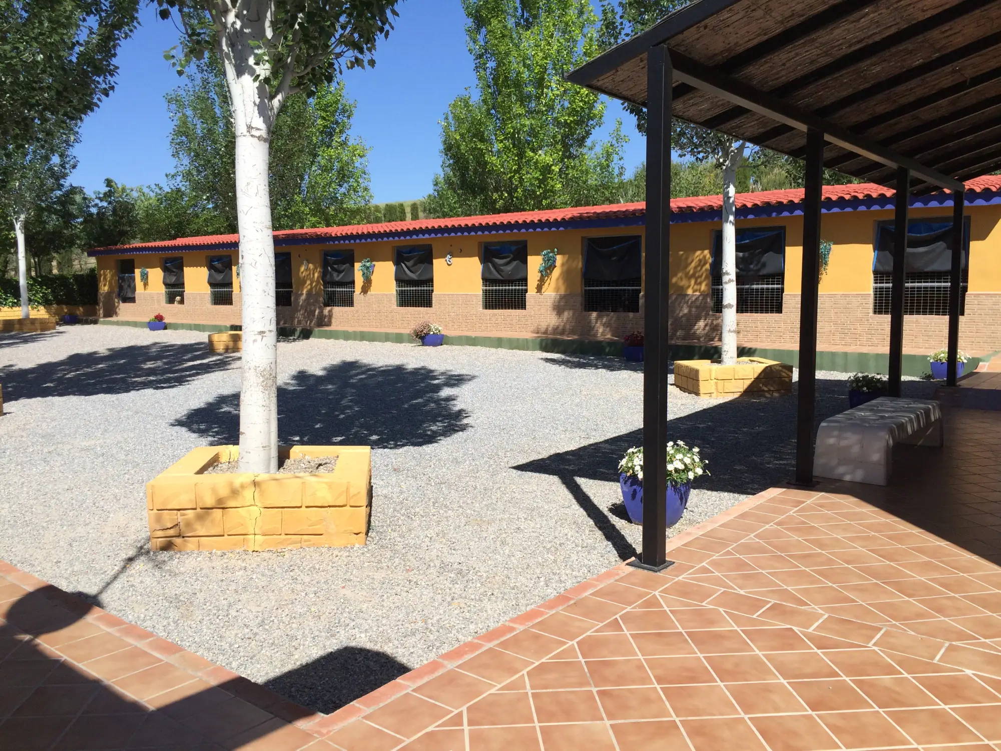 residencia canina delagos