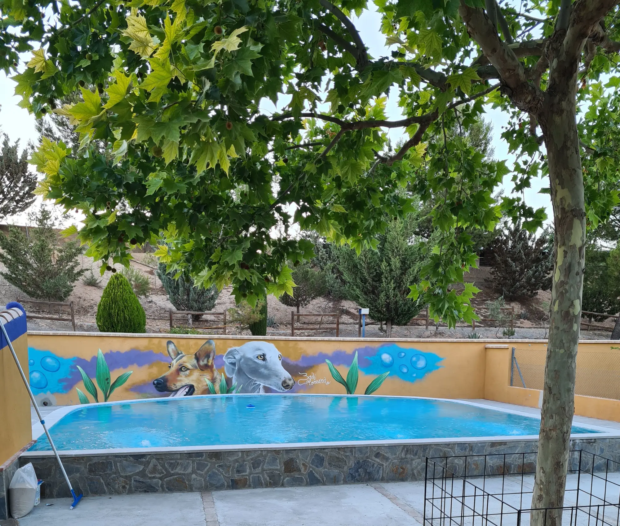 residencia canina delagos
