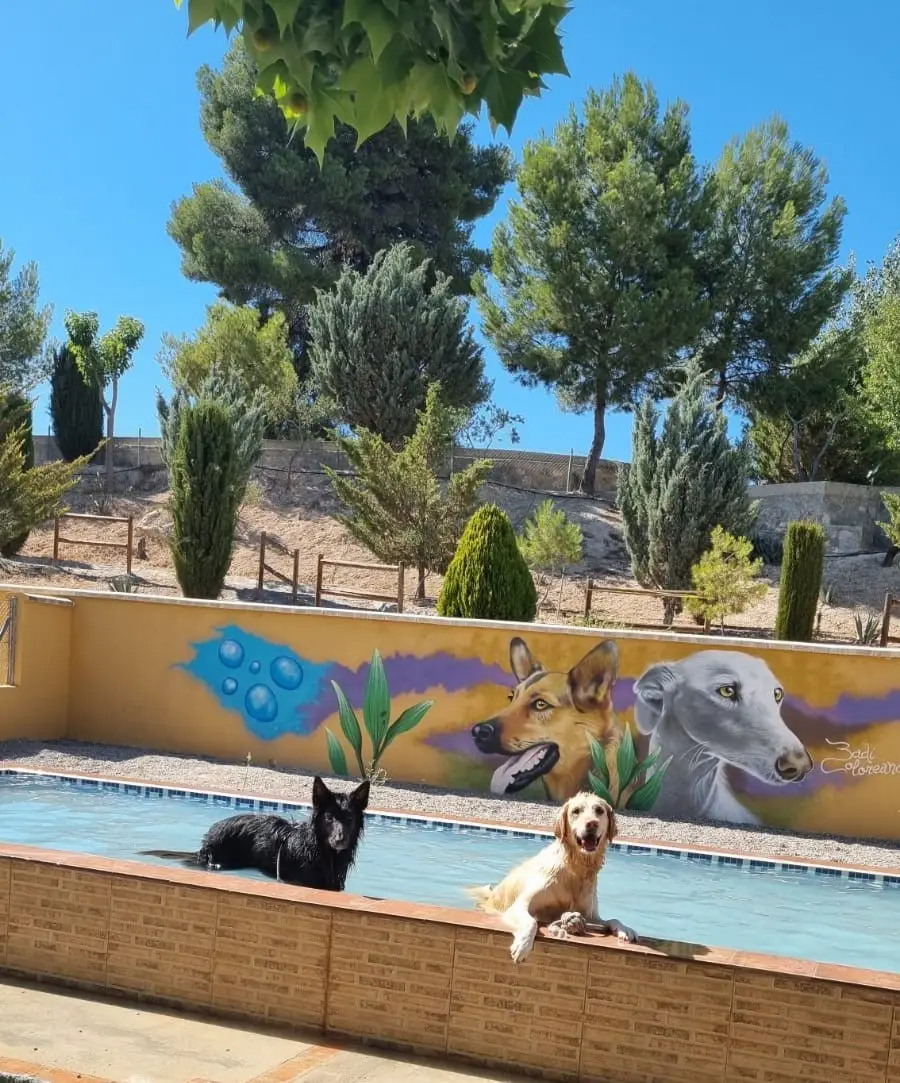 residencia canina delagos