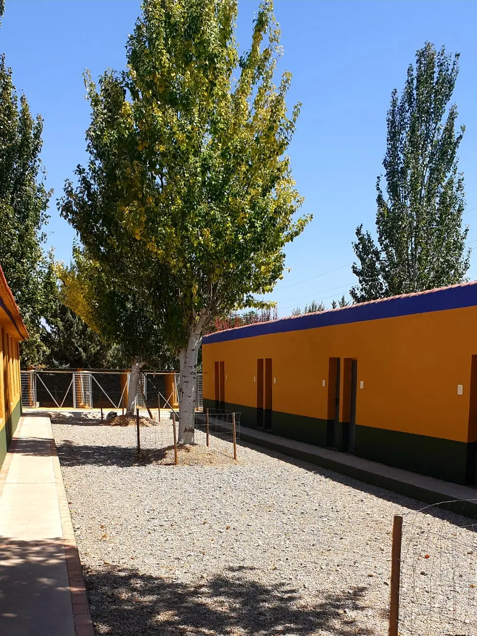 residencia canina delagos