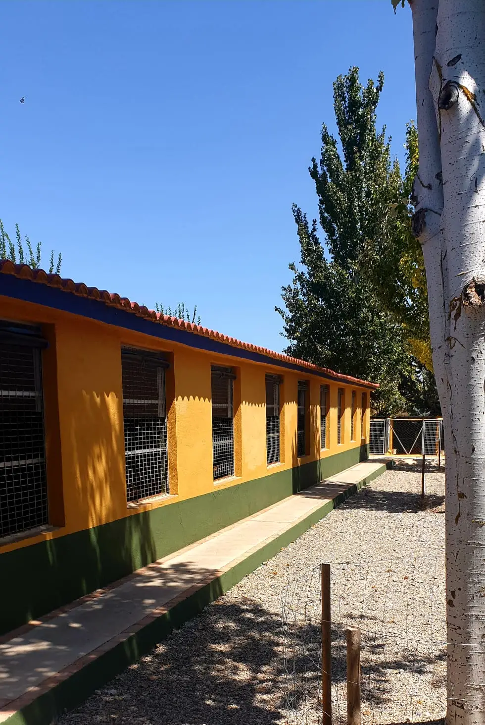 residencia canina delagos