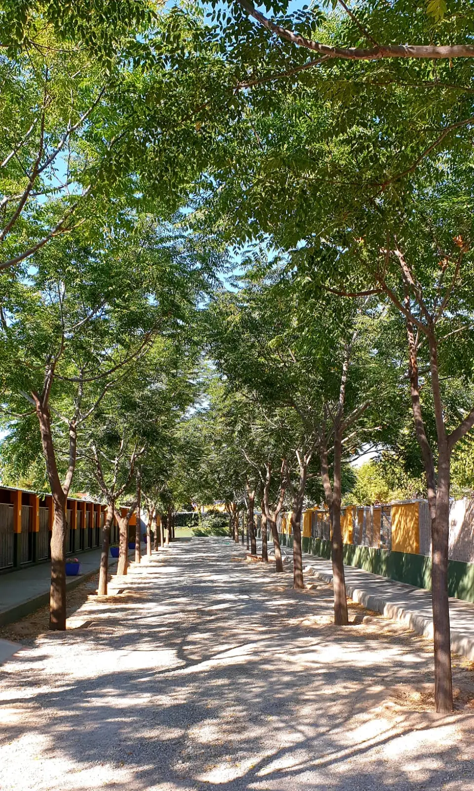 residencia canina delagos