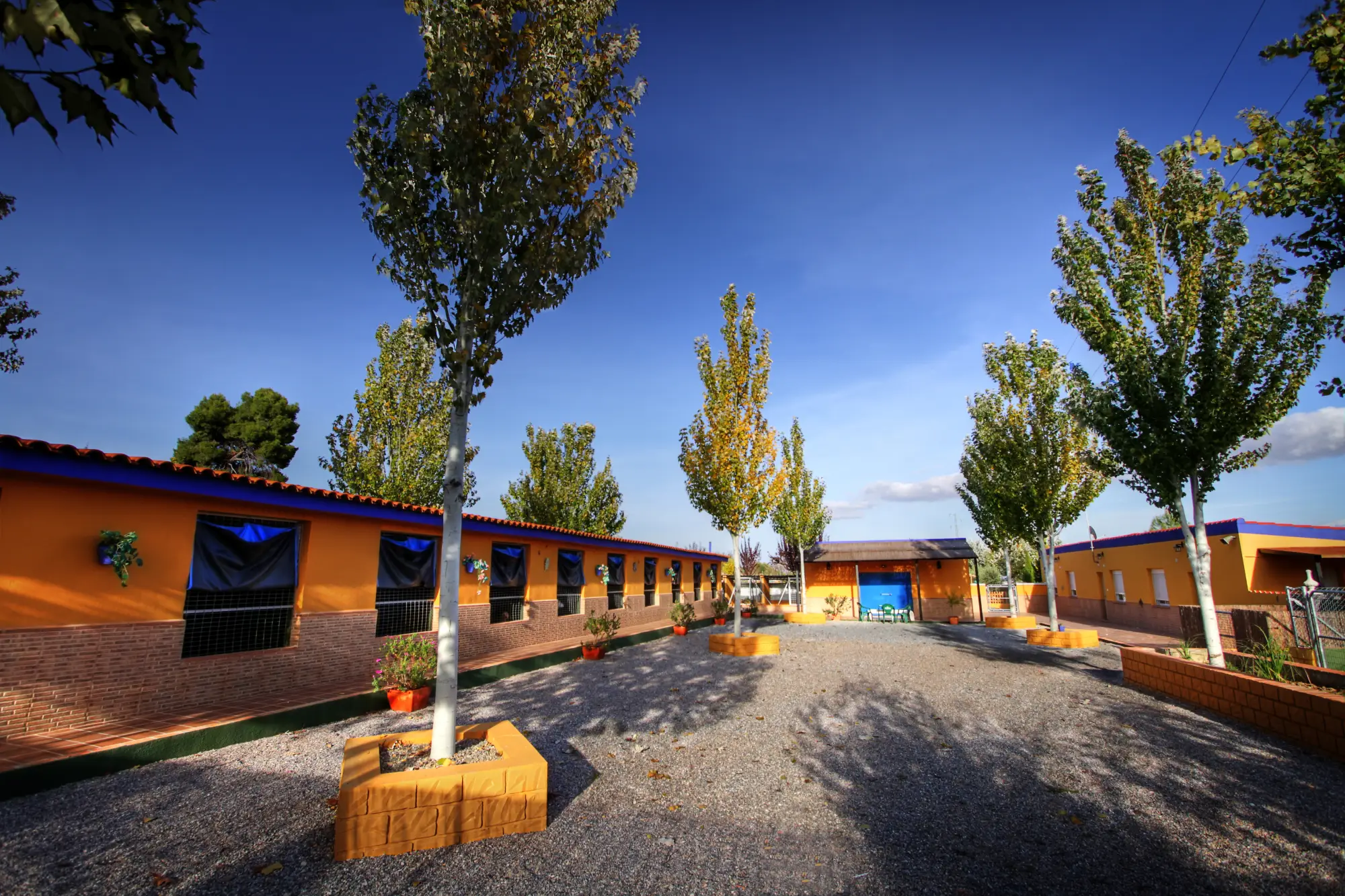 residencia canina delagos