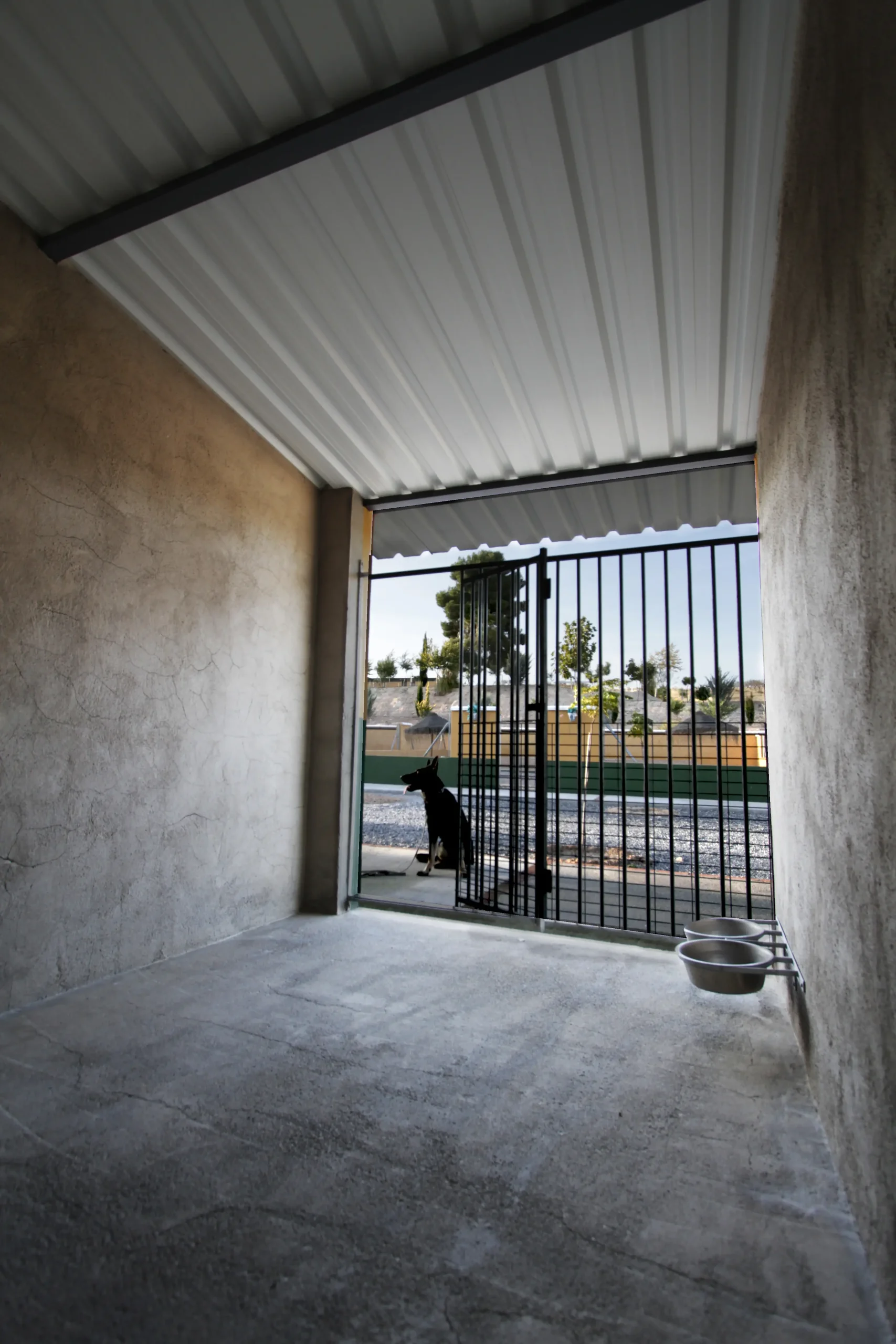 residencia canina delagos