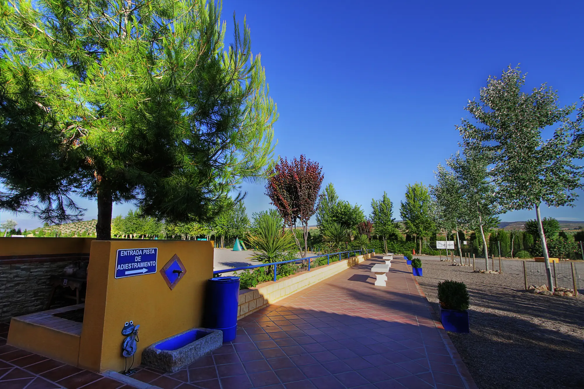 residencia canina delagos