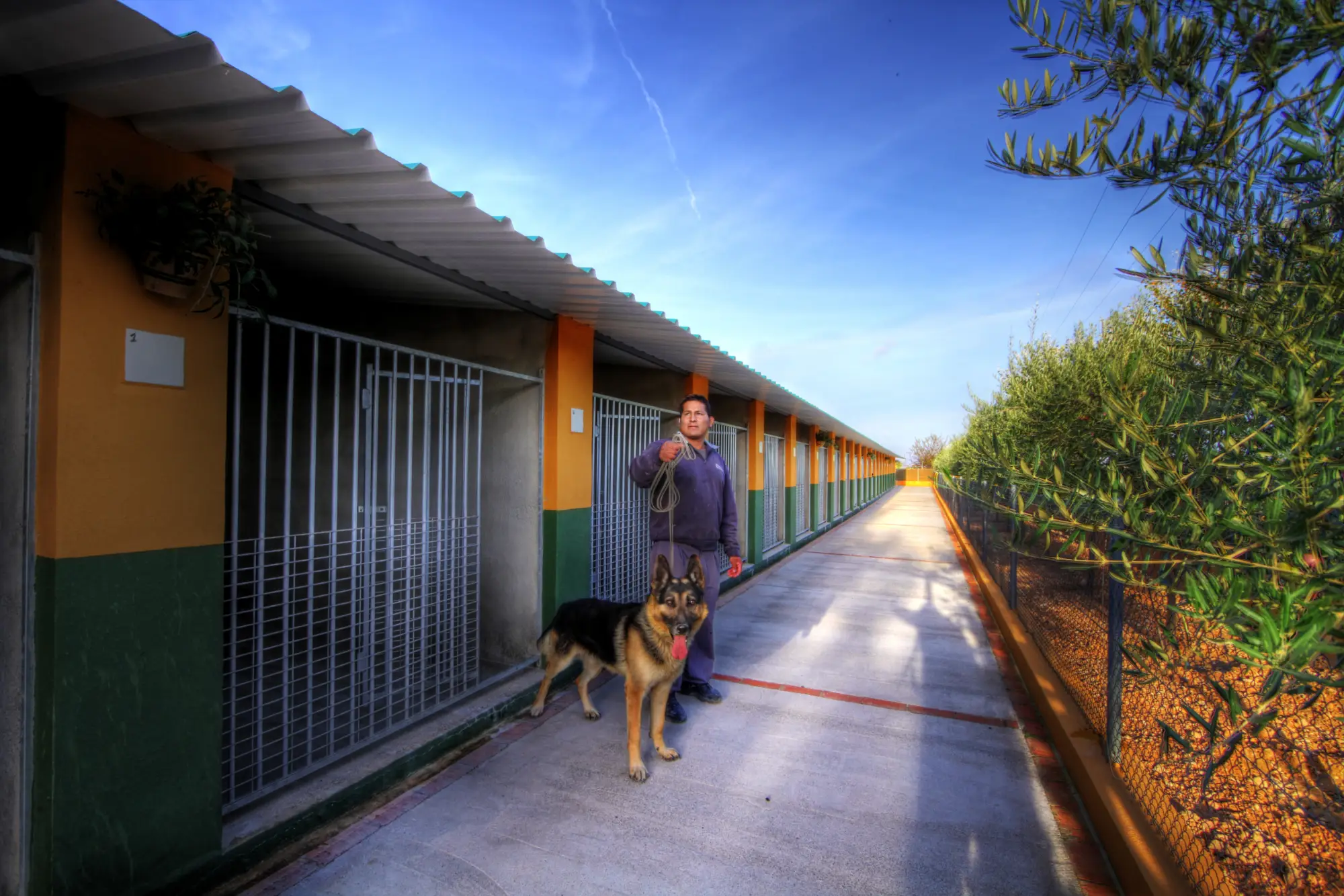 residencia canina delagos
