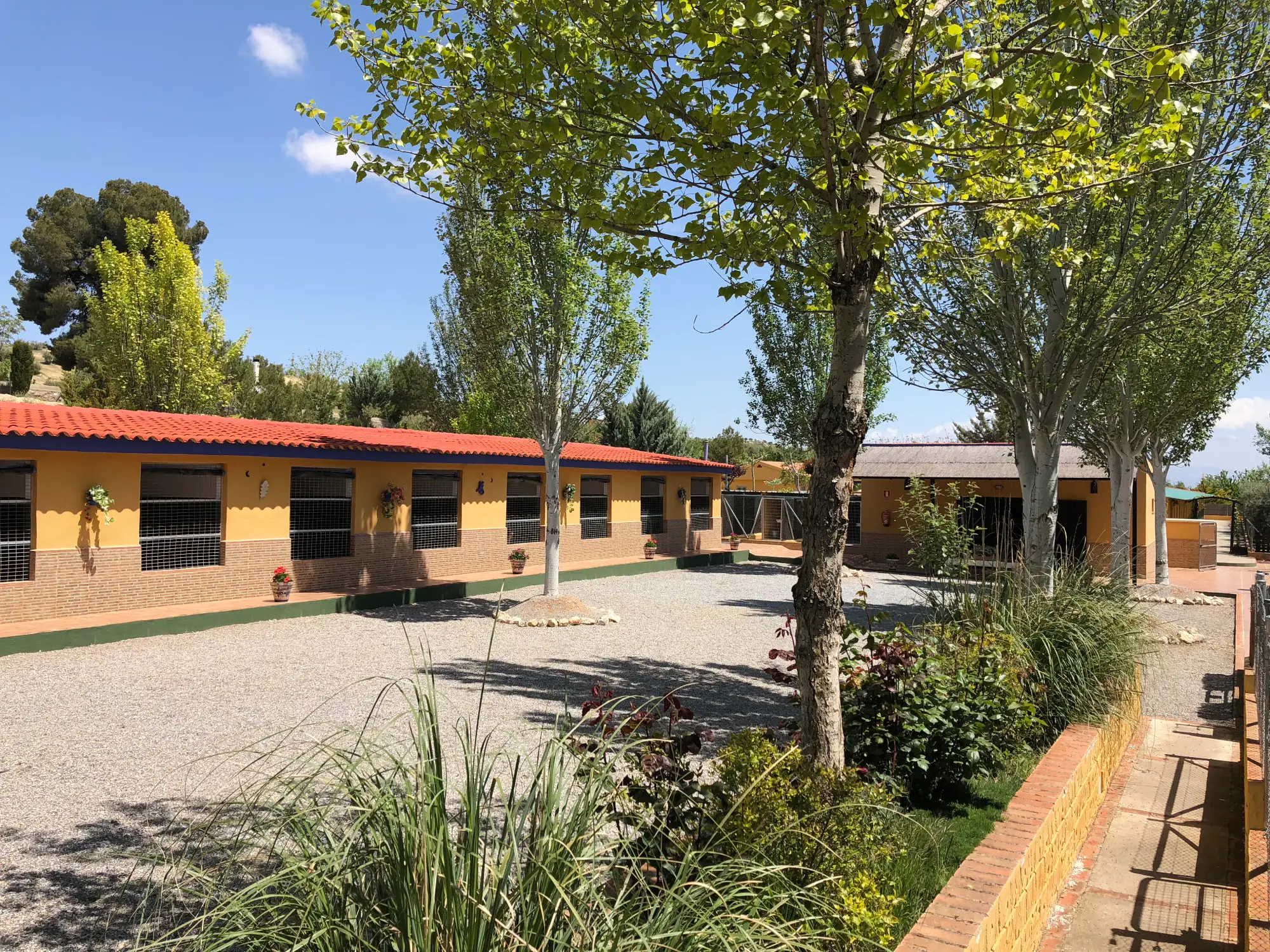 residencia canina delagos