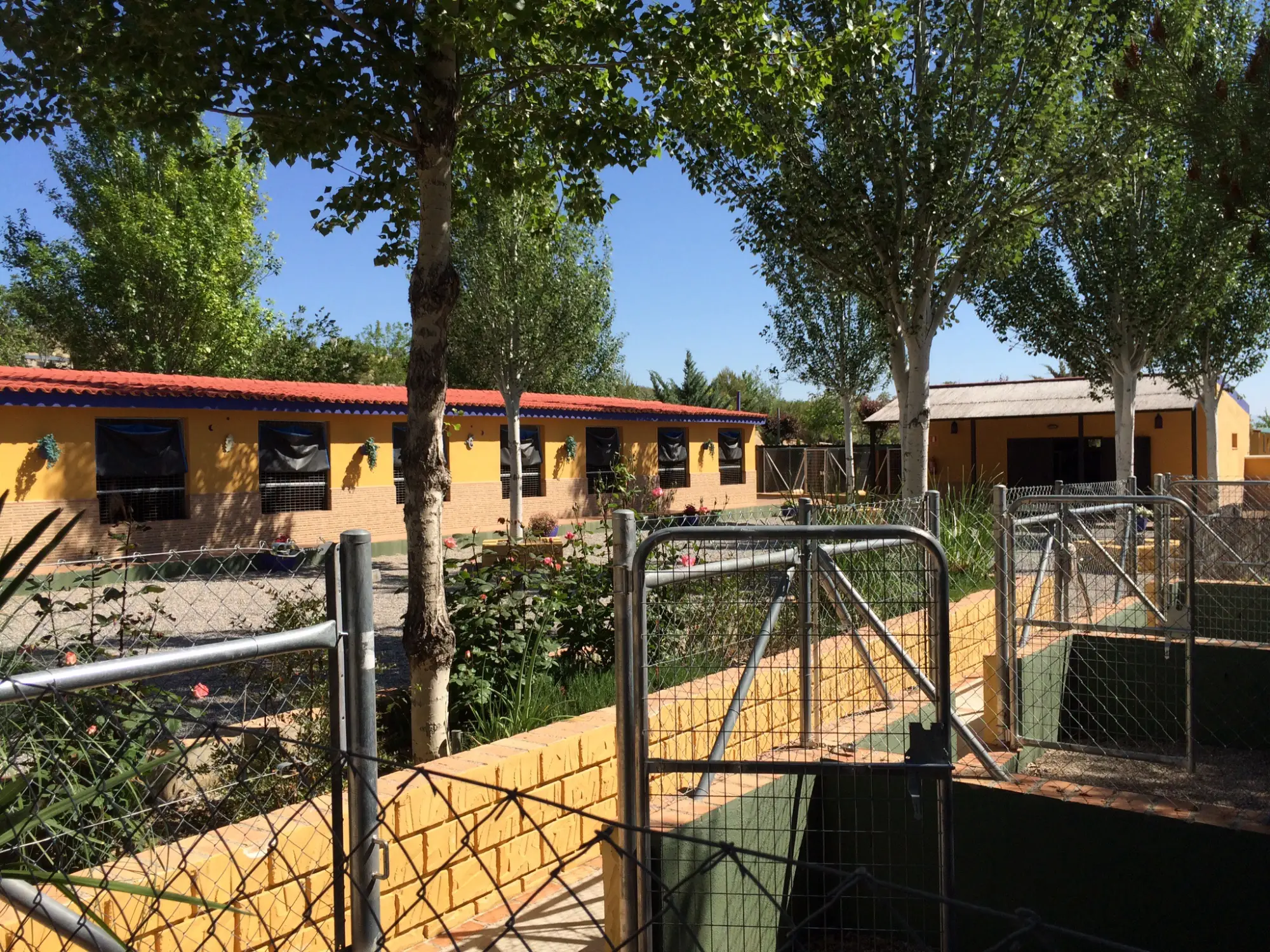 residencia canina delagos