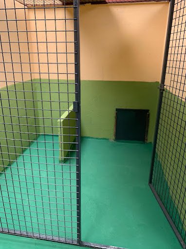 centro canino rivendel